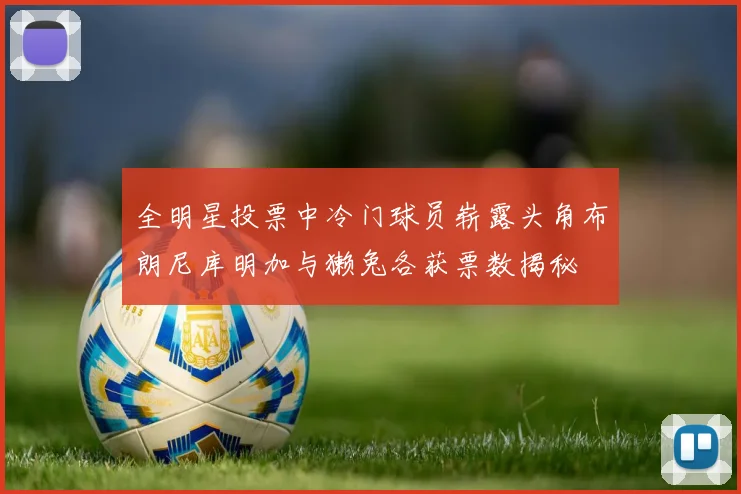 全明星投票中冷门球员崭露头角布朗尼库明加与獭兔各获票数揭秘