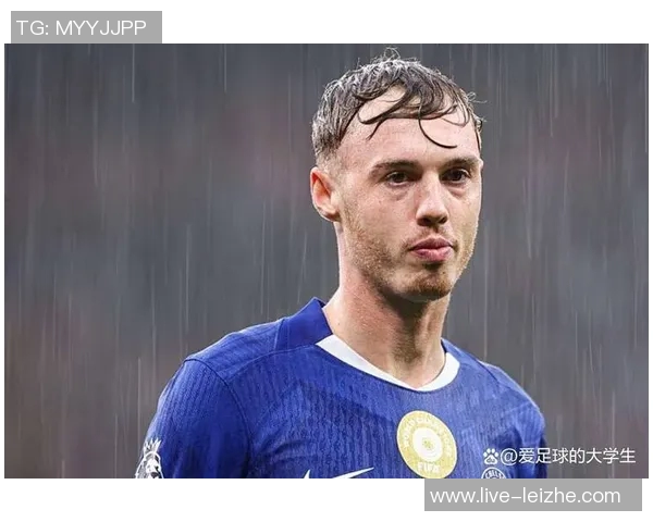 切尔西伤病情况更新九人缺阵帕尔默等六人预计下轮复出